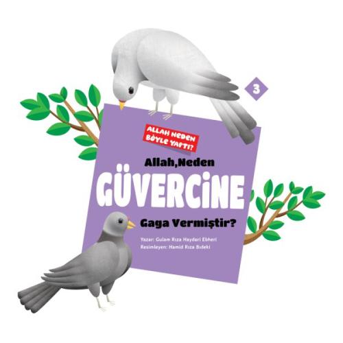 Allah Neden Böyle Yaptı? (6 Kitap) Gulam Rıza H. Ebheri