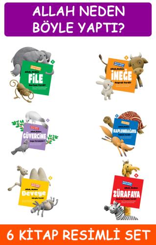 Allah Neden Böyle Yaptı? (6 Kitap) Gulam Rıza H. Ebheri